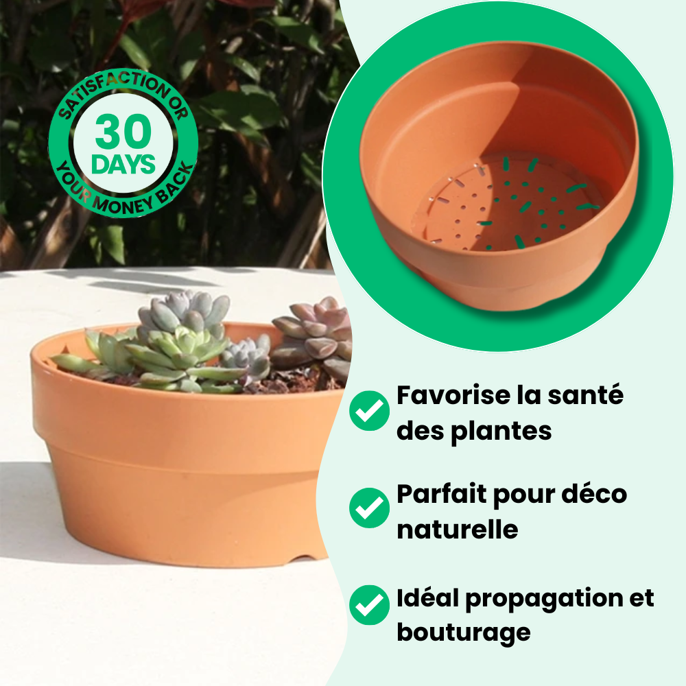 Maceteros Ecológicos de Terracota (4 + 2 Gratis)