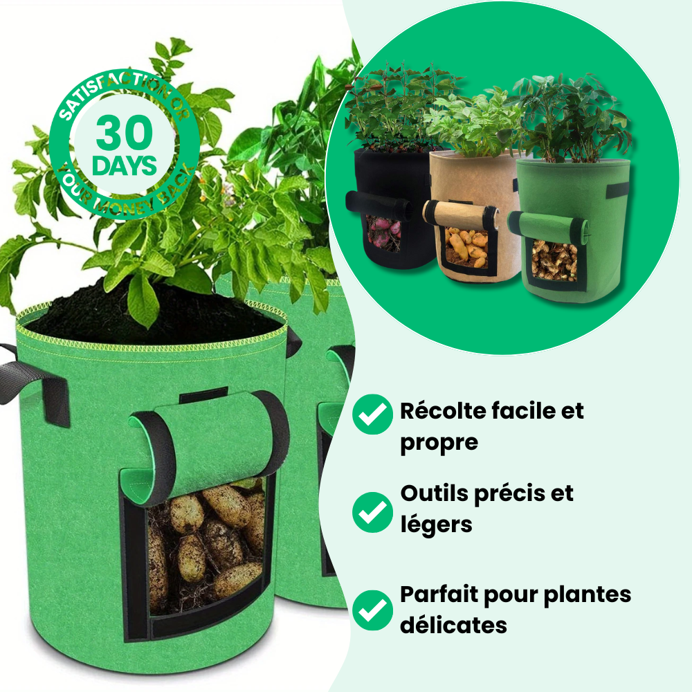 Crecimiento de la bolsa de cultivo de patatas