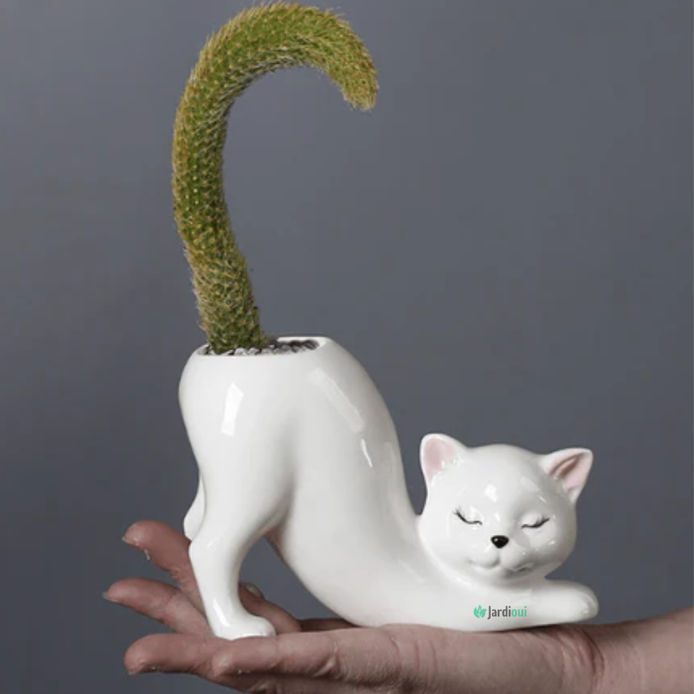 Maceta de gato adorable