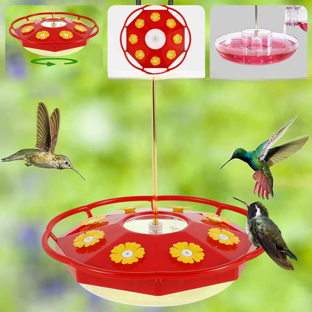 Mangeoire Colibri Multi-Port Transparente