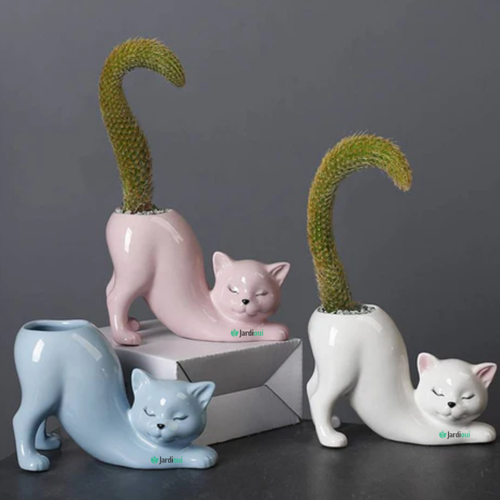 Maceta de gato adorable