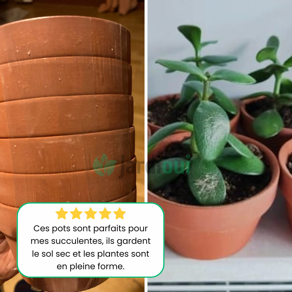 Maceteros Ecológicos de Terracota (4 + 2 Gratis)