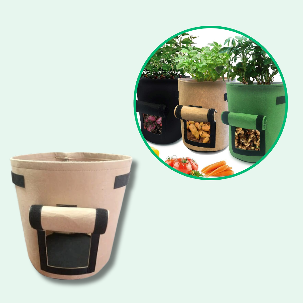 Crecimiento de la bolsa de cultivo de patatas