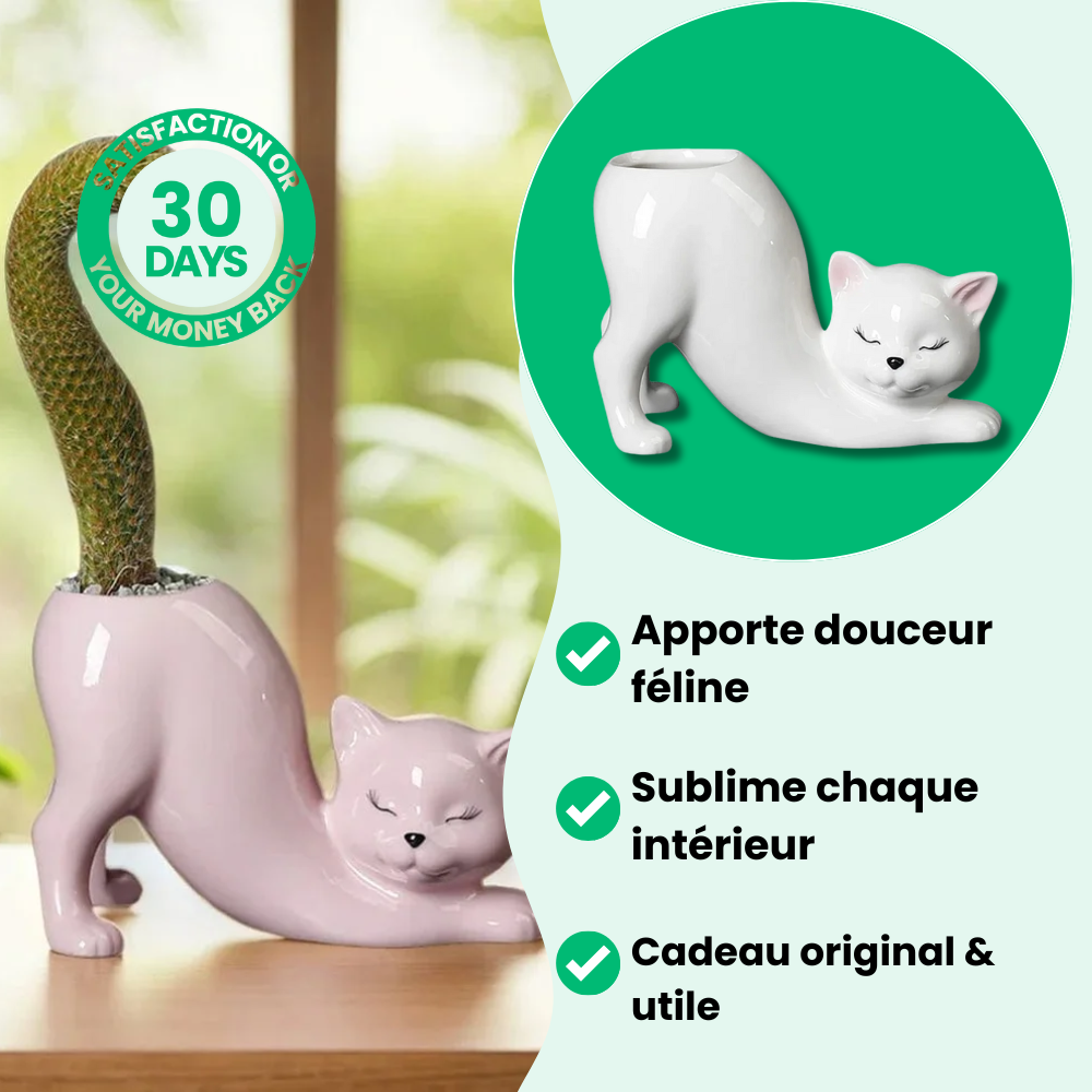 Maceta de gato adorable