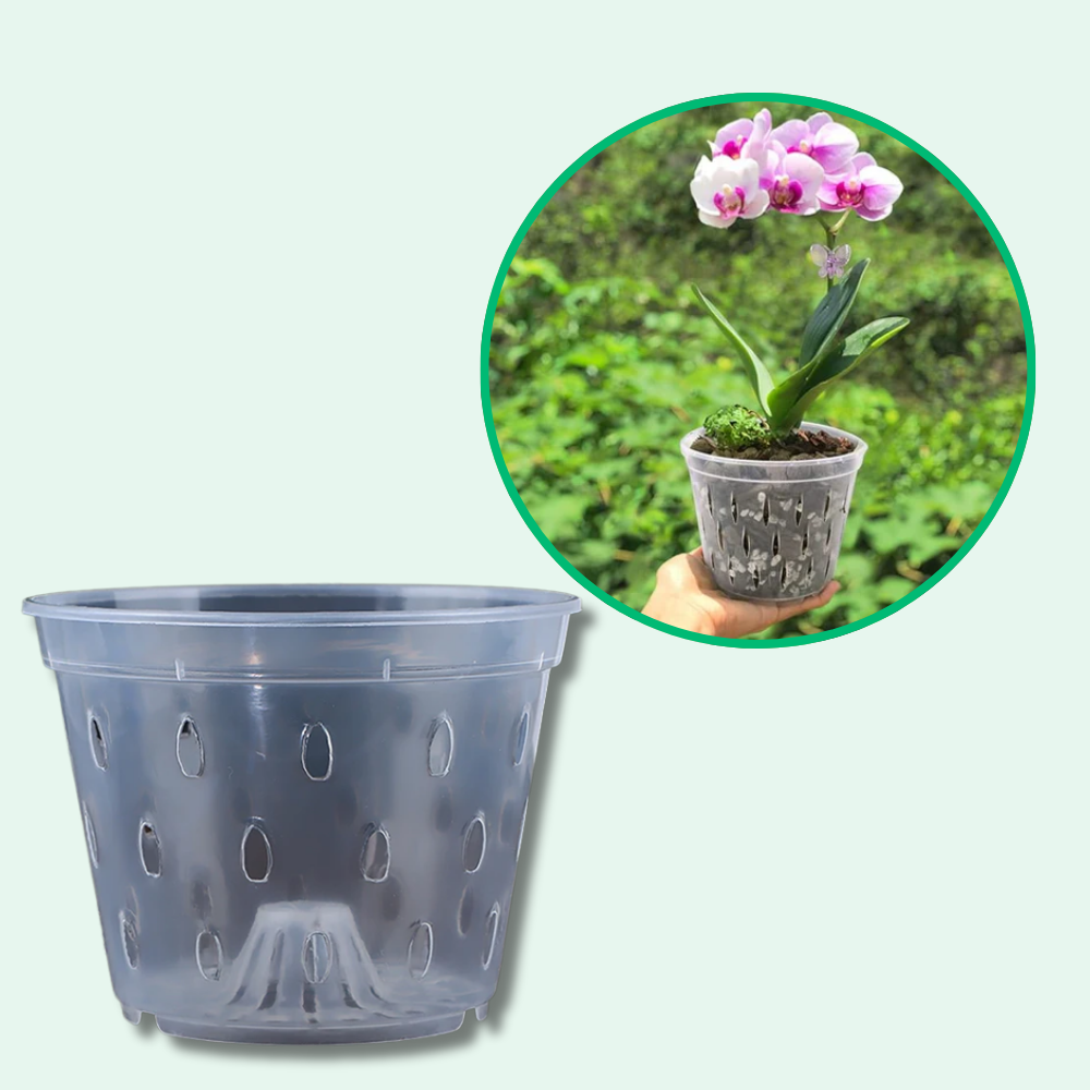 Macetas de cultivo transparentes aireadas de primera calidad