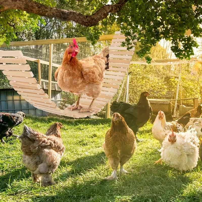 Columpio Natural Suspendido para Pollos