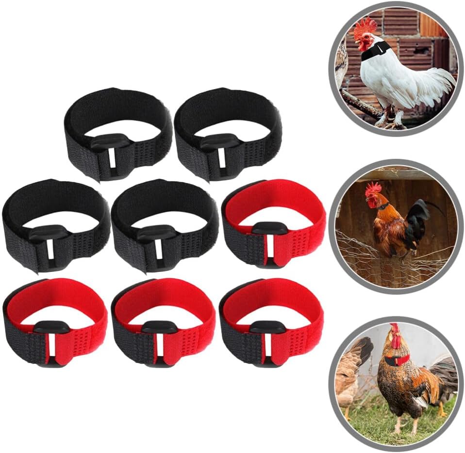 Collar Antillanto Ajustable para Pollos