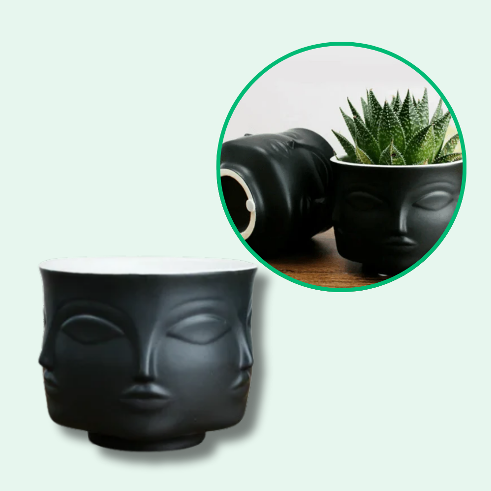 Maceta De Cara Artística