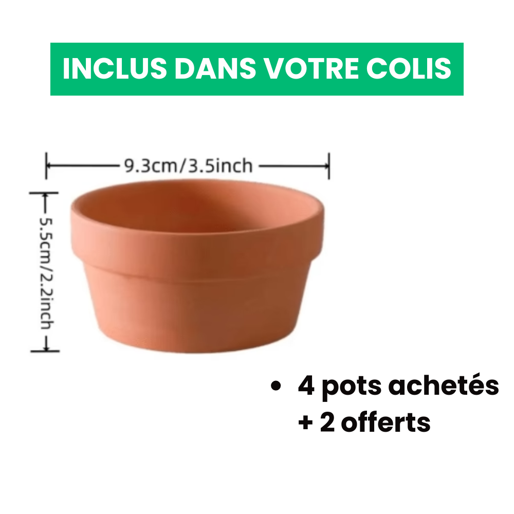 Maceteros Ecológicos de Terracota (4 + 2 Gratis)