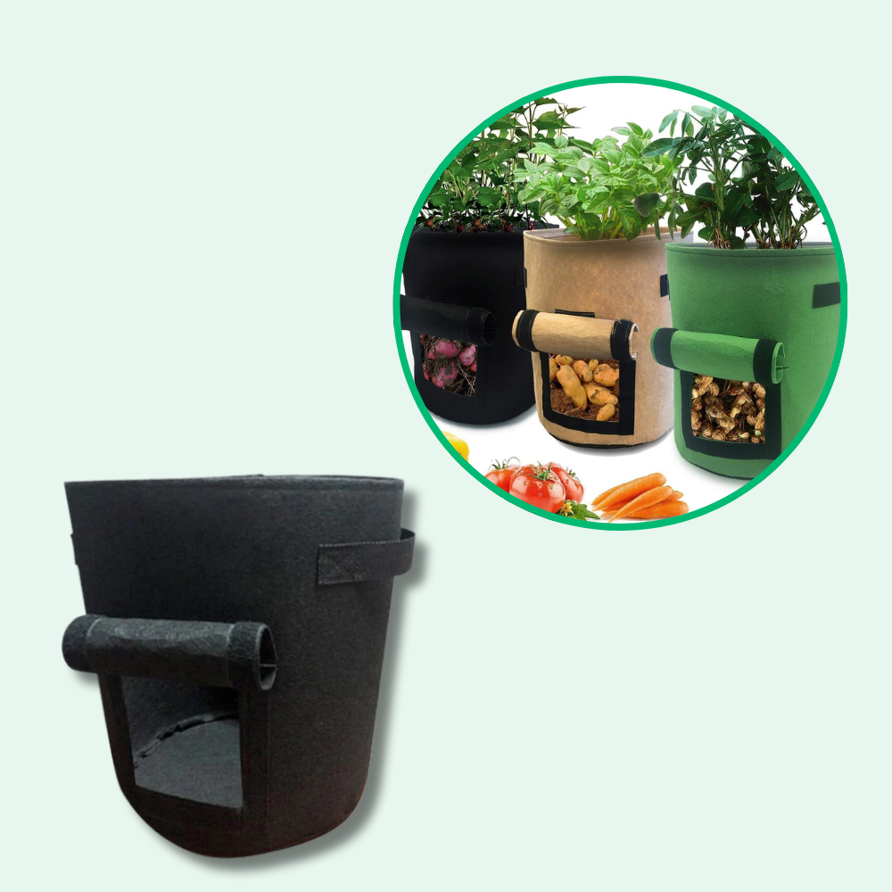 Crecimiento de la bolsa de cultivo de patatas