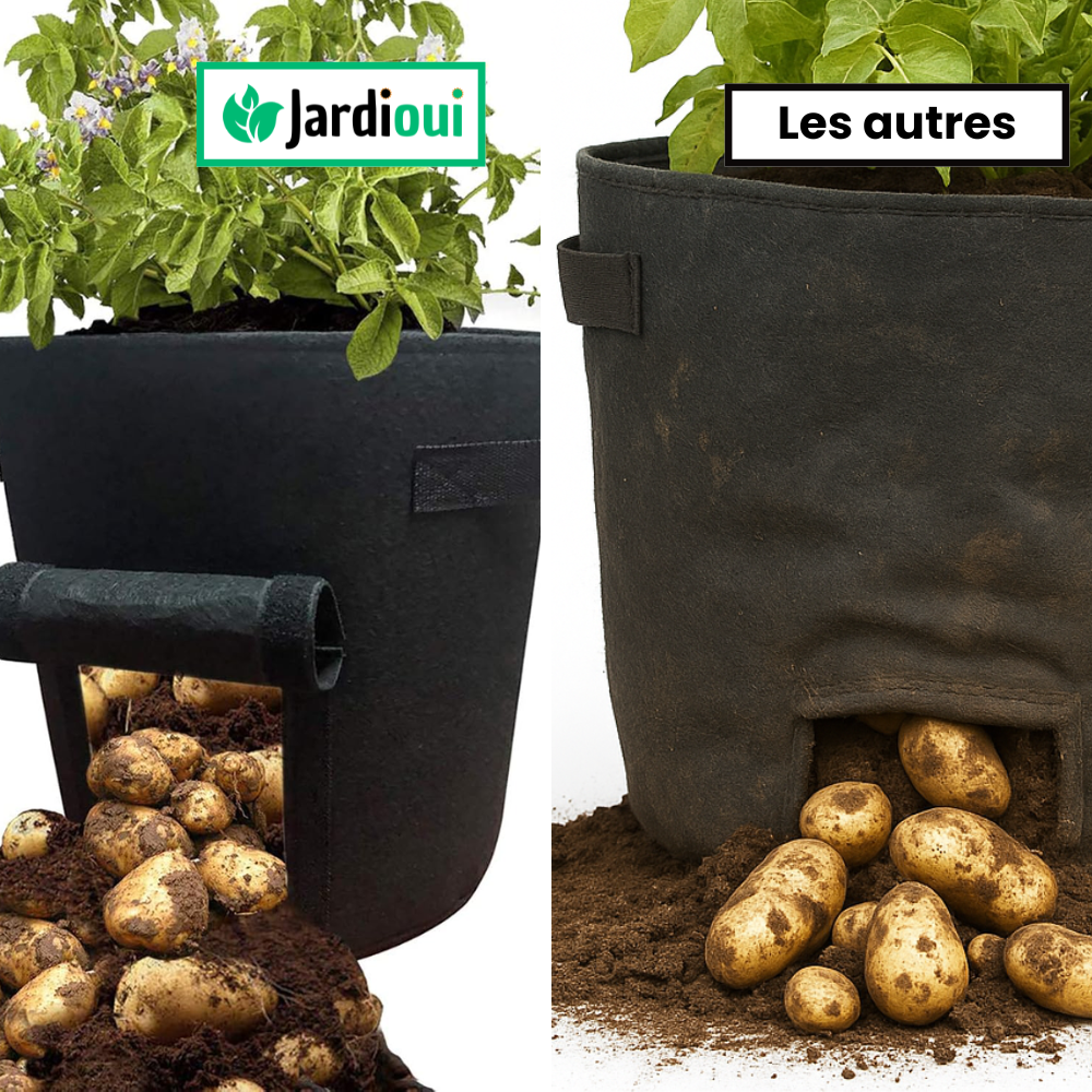 Crecimiento de la bolsa de cultivo de patatas