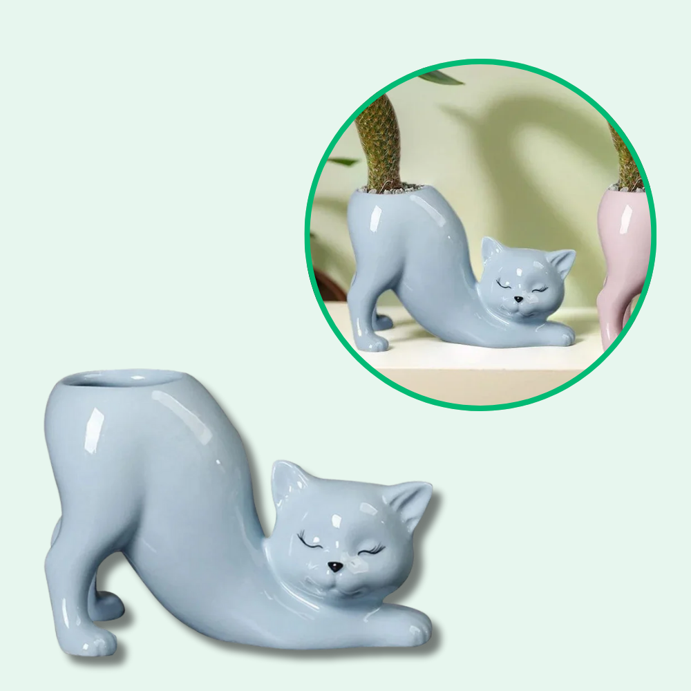 Maceta de gato adorable