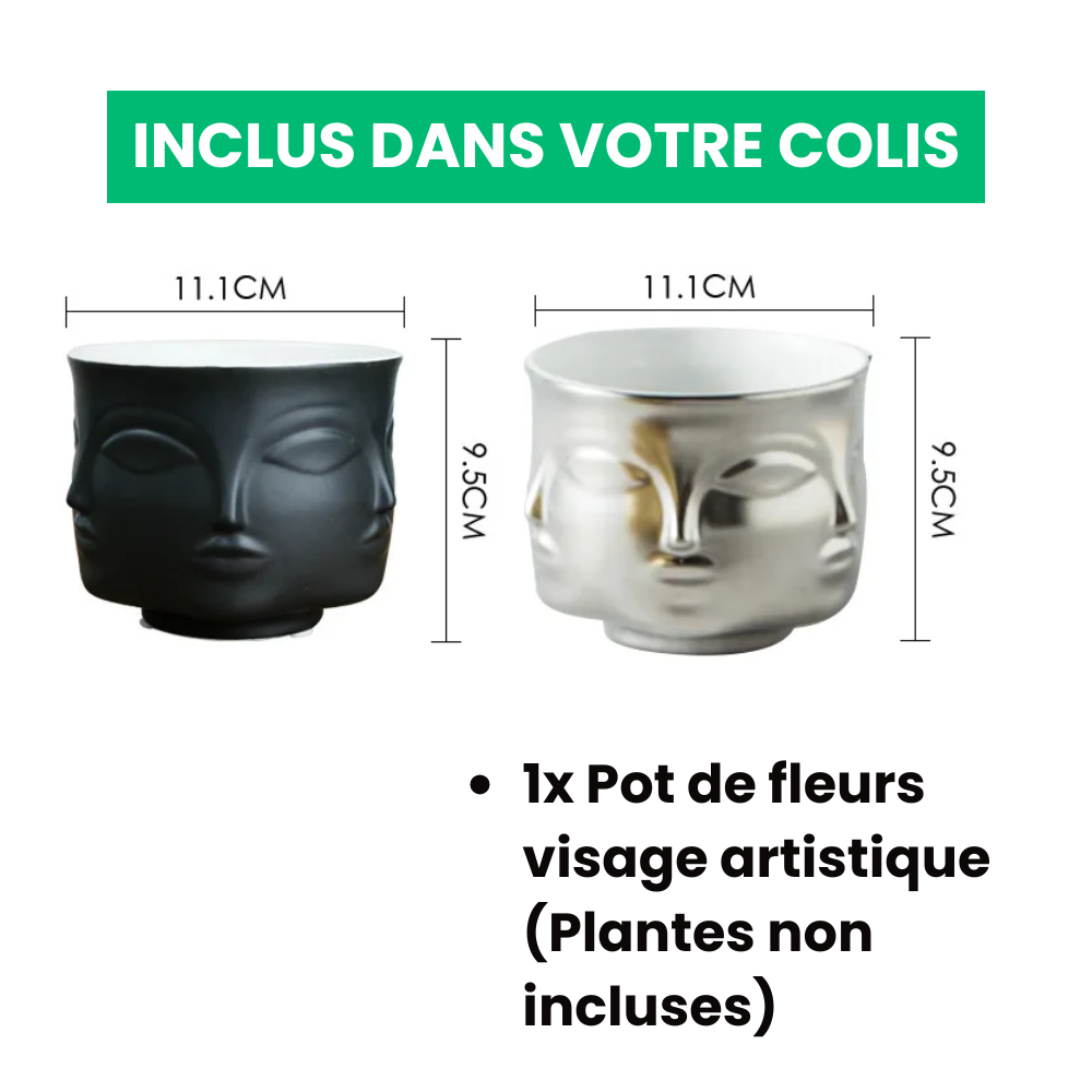 Maceta De Cara Artística