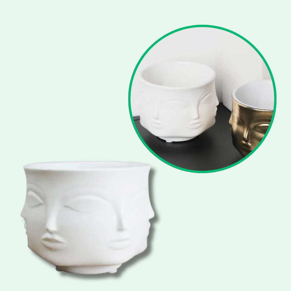 Maceta De Cara Artística