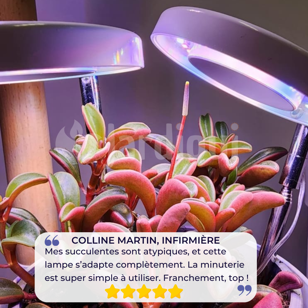 Lámpara de Crecimiento LED de Interior (2+1 Regalada)