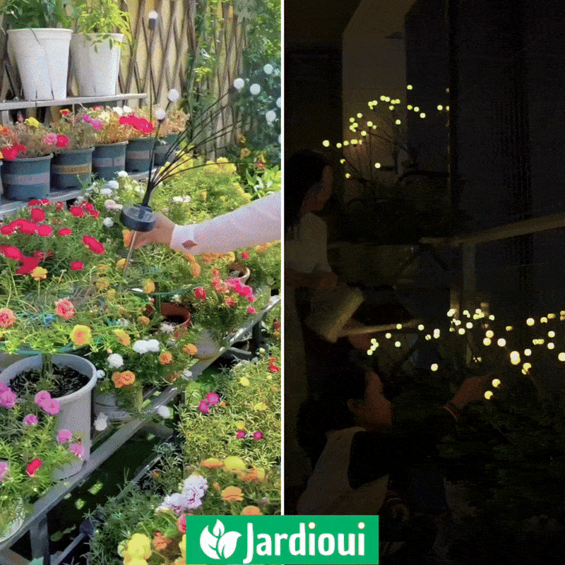 Lámparas LED Lucioles de Energía Solar - Oferta Especial