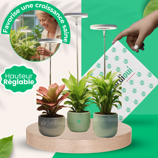 Lámpara de Crecimiento LED de Interior (Paquete de 2+1 Gratis)