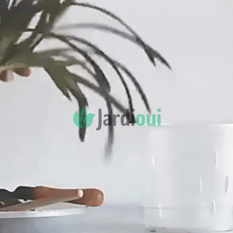 Macetas de cultivo transparentes aireadas de primera calidad