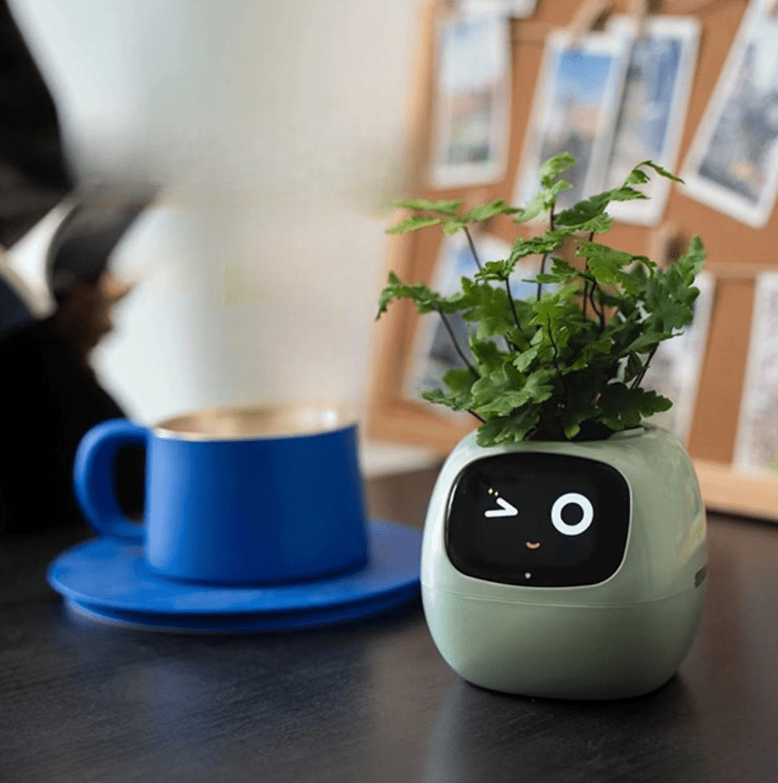 Jardioui 1 Pot (89.90 €/ pcs) / Vert Pot Jardinière Intelligente Interactive