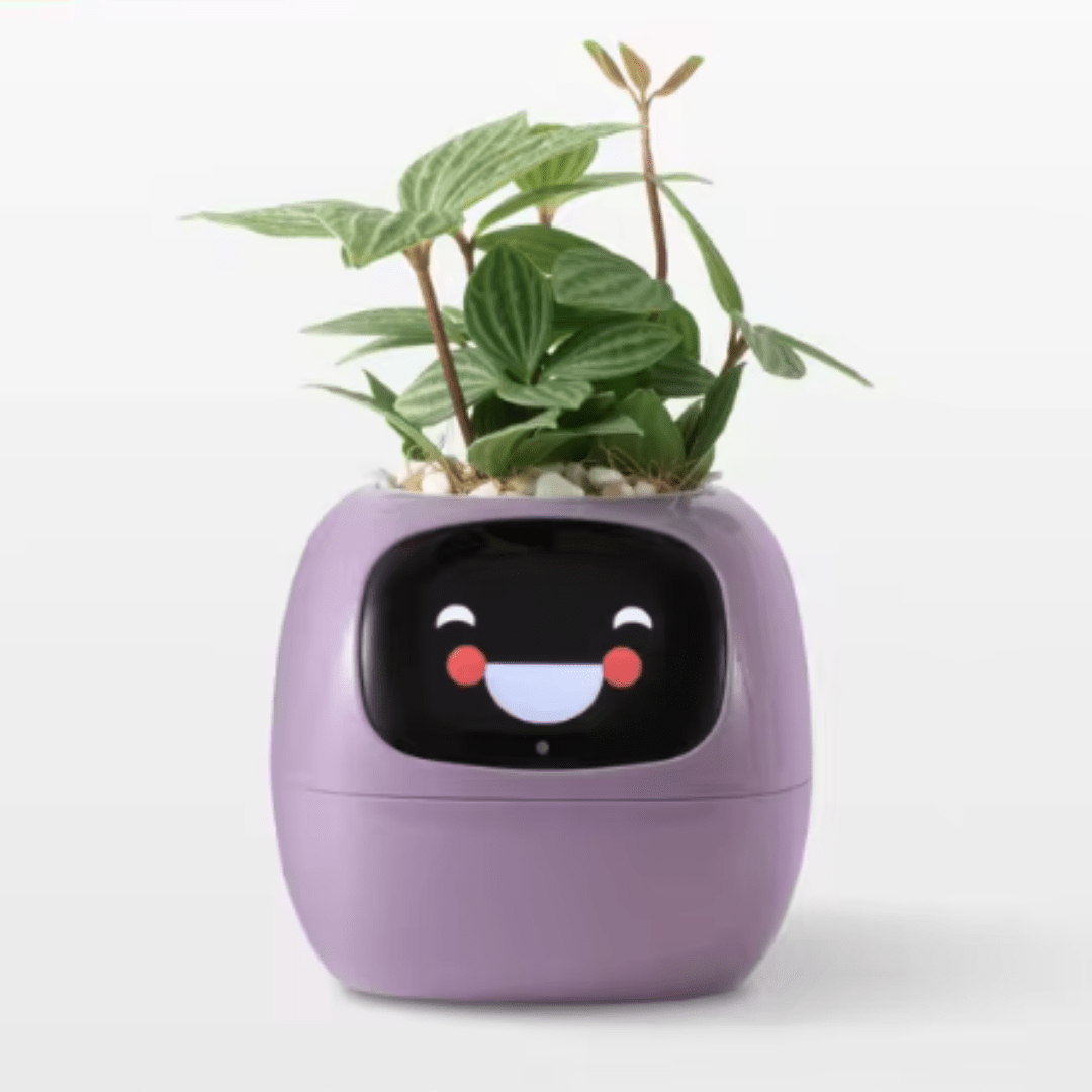 Jardioui 1 Pot (89.90 €/ pcs) / Violet Pot Jardinière Intelligente Interactive