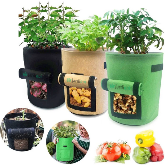 Crecimiento de la bolsa de cultivo de patatas