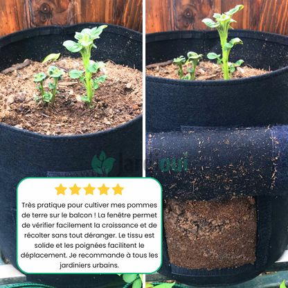 Crecimiento de la bolsa de cultivo de patatas