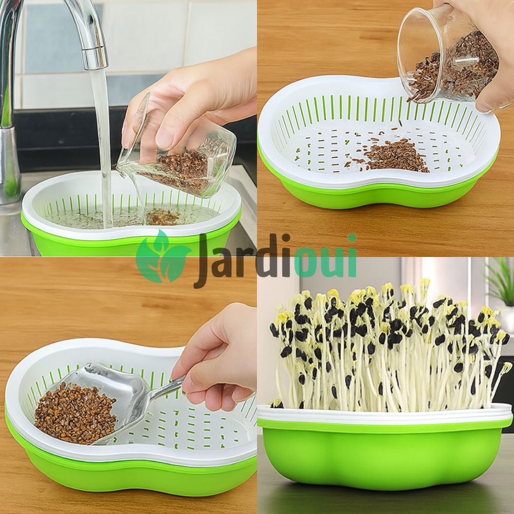 Innovadora bandeja hidropónica para el hogar