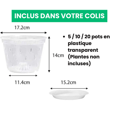 Macetas de cultivo transparentes aireadas de primera calidad