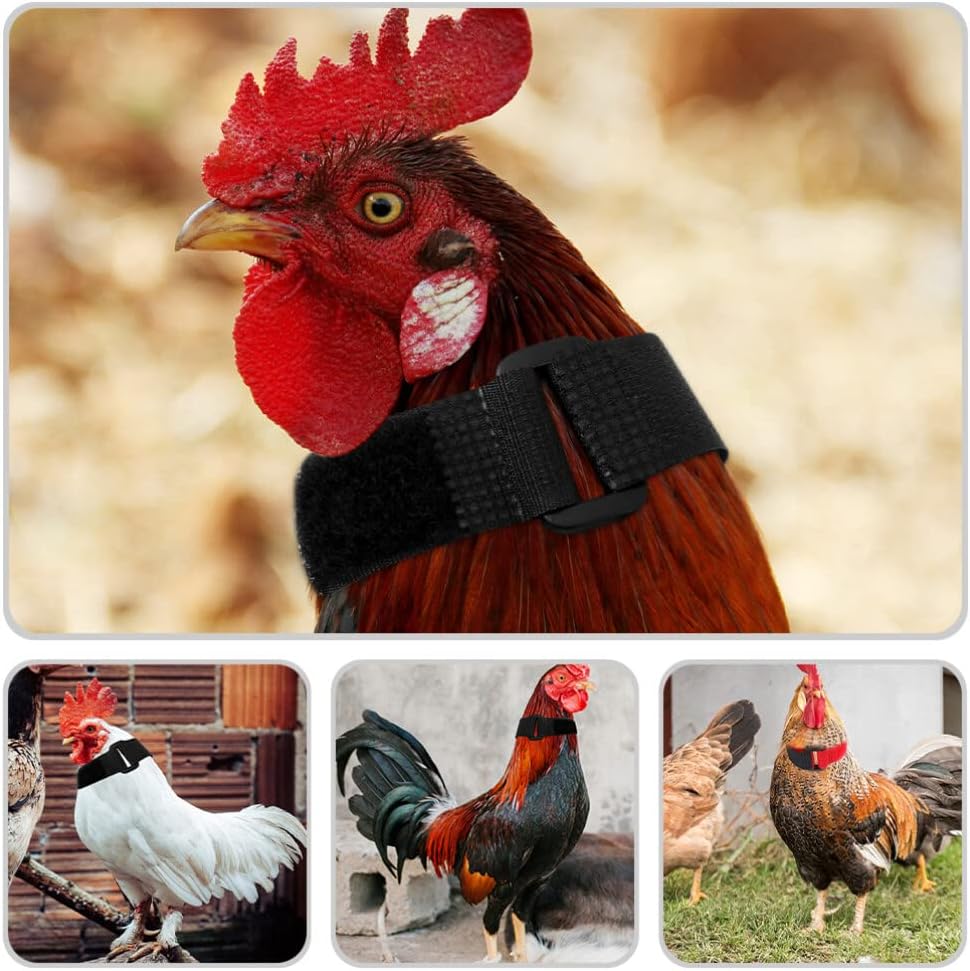 Collar Antillanto Ajustable para Pollos