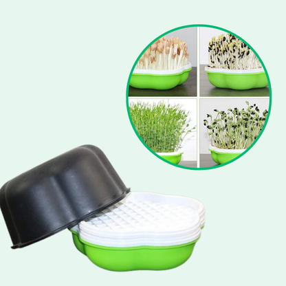 Innovadora bandeja hidropónica para el hogar