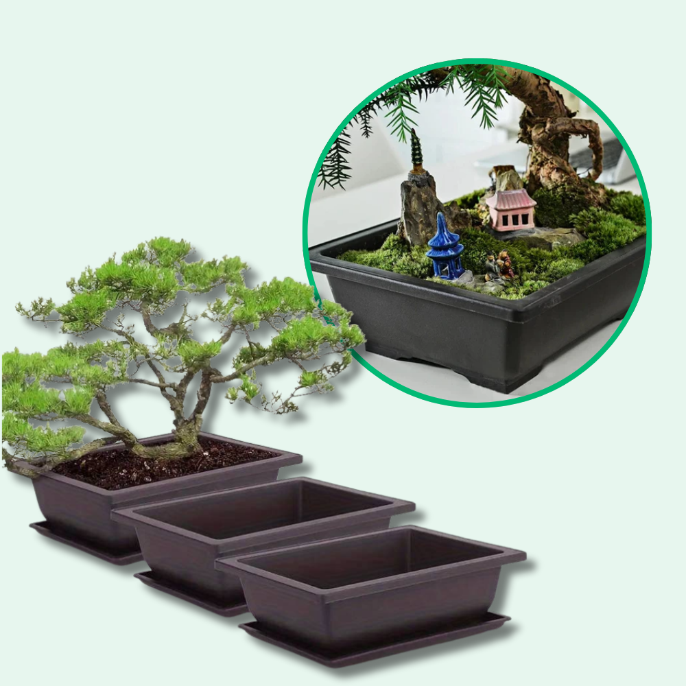 Jardioui 2 Jardinières (19.90 €/ pcs) Jardinière Rectangulaire Élégante