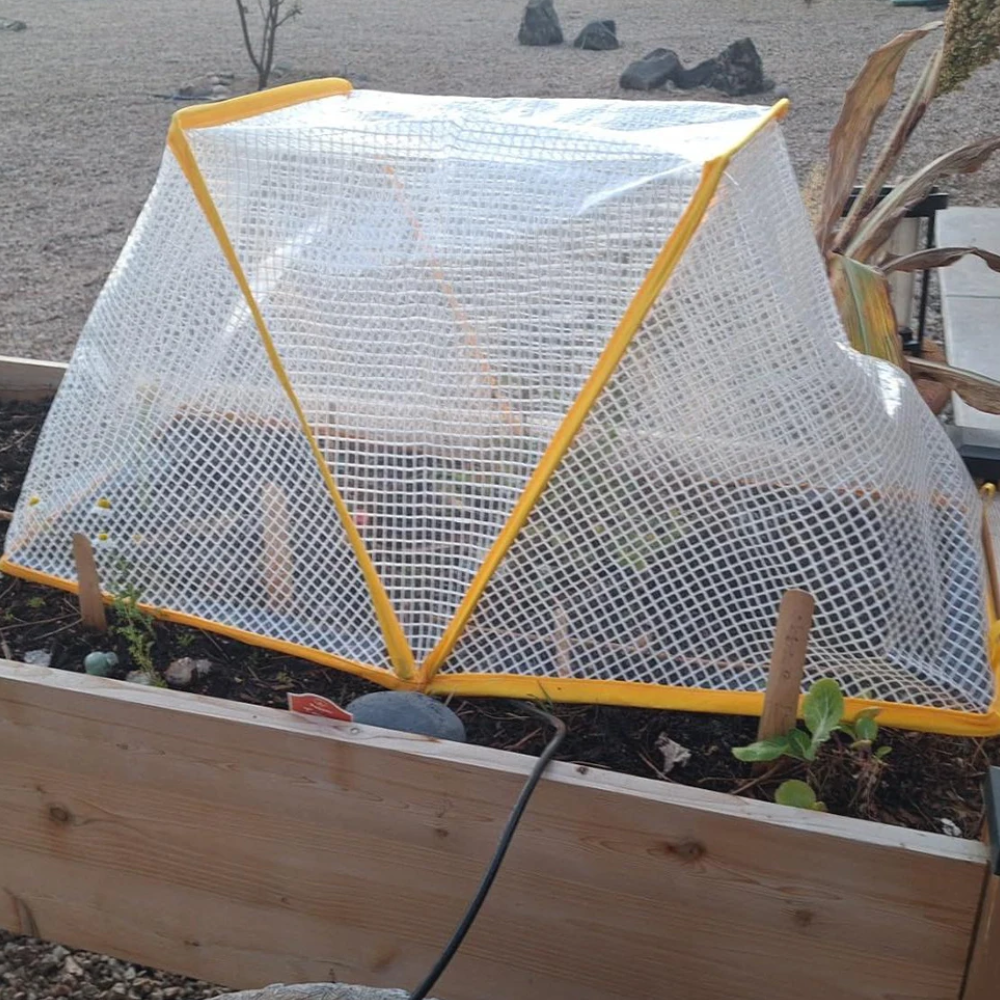 Jardioui Mini Serre Anti-Intempéries Réutilisable