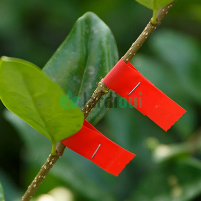 Jardioui Pince à palisser - Attache branche Révolutionnaire